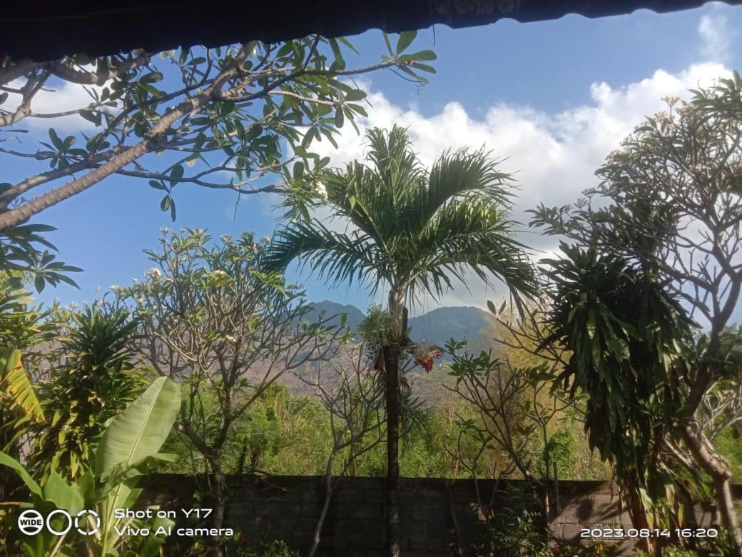 Tirta Bali Homestay Pemuteran  Exterior photo